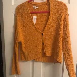 American Eagle Cropped Cardigan